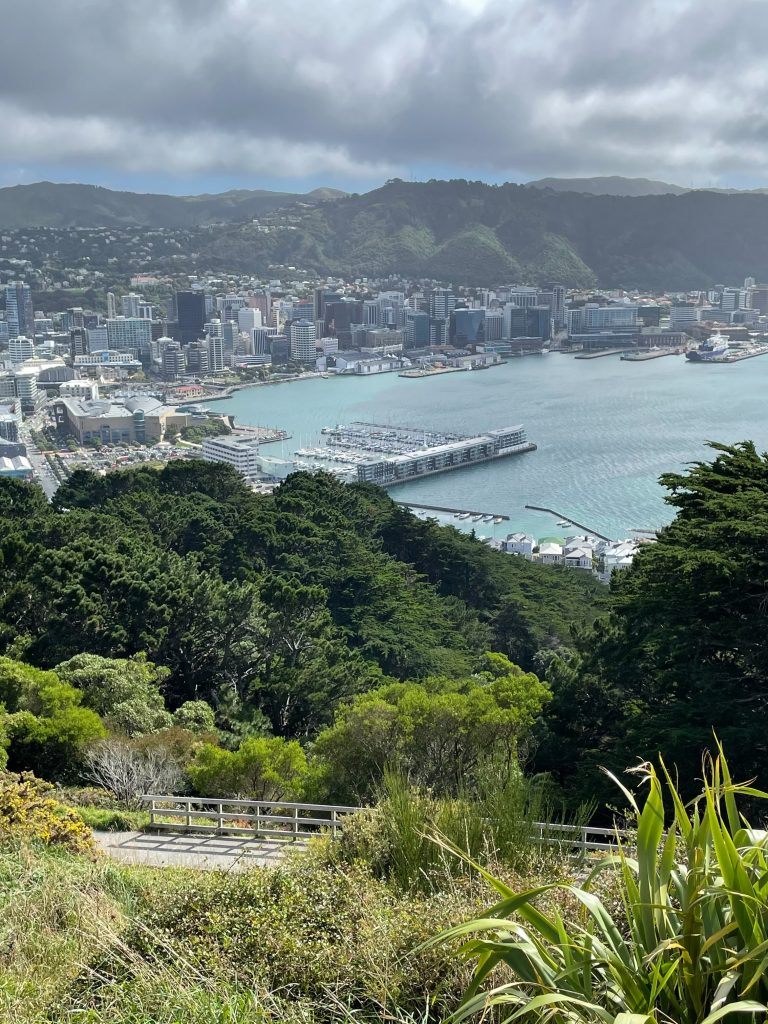 New Zealand Roadtrip