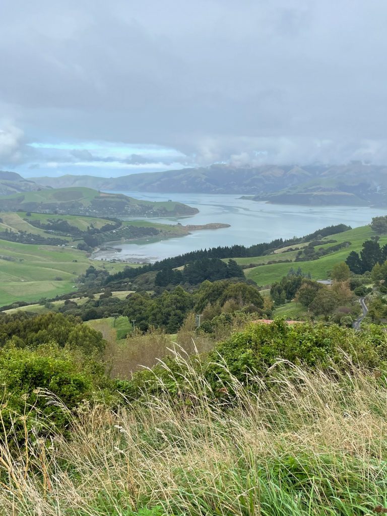 New Zealand Roadtrip
