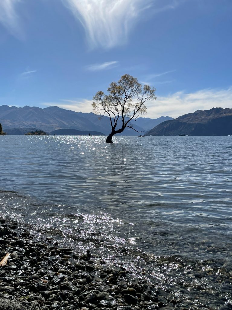 New Zealand Roadtrip