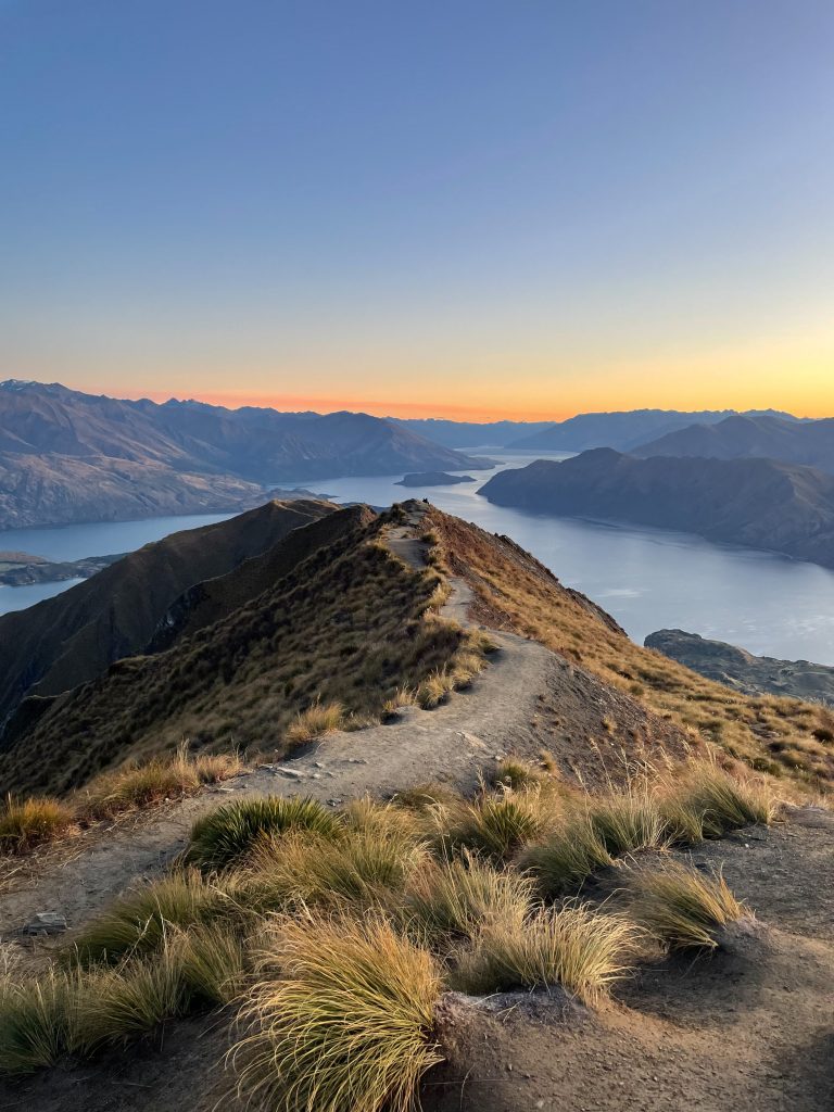 New Zealand Roadtrip