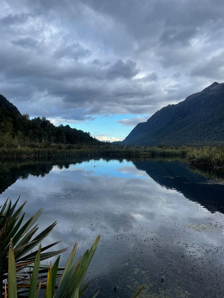 New Zealand Roadtrip