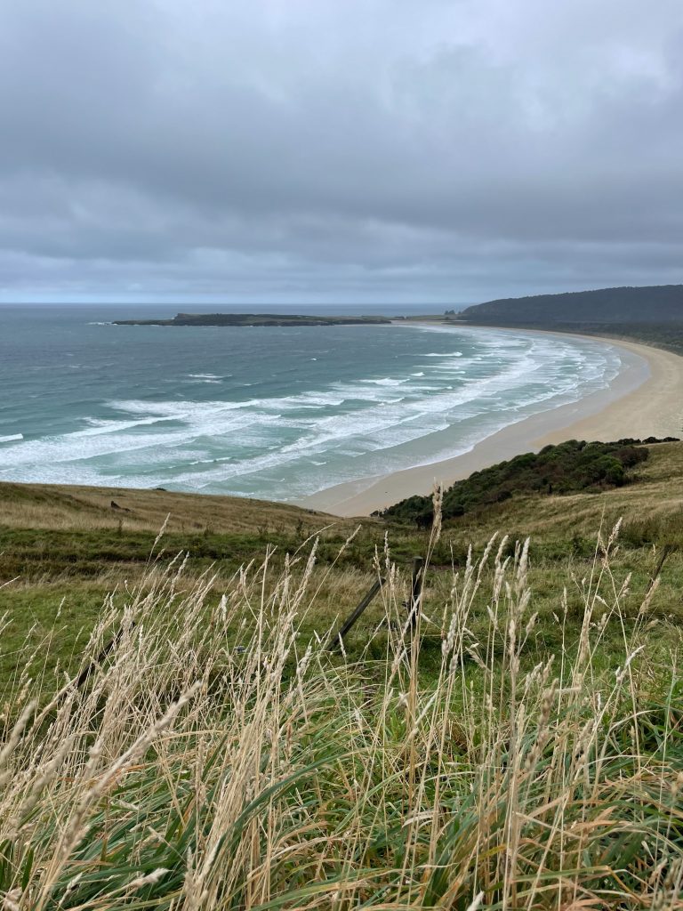 New Zealand Roadtrip
