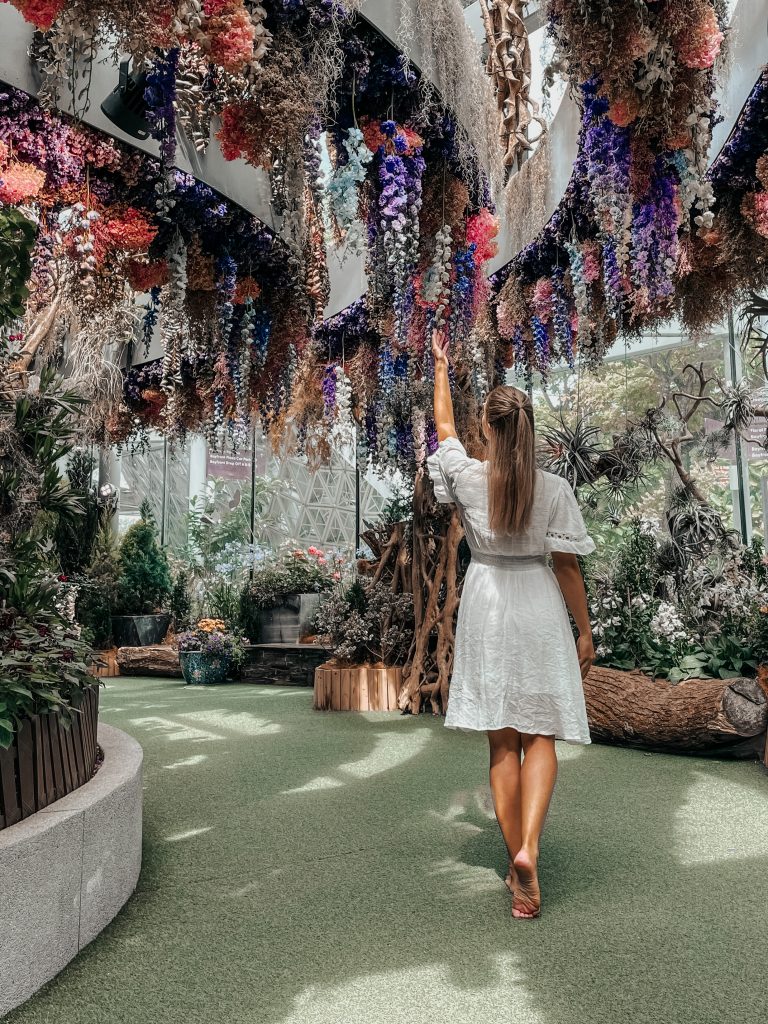Beautiful Photo Spots in Singapore