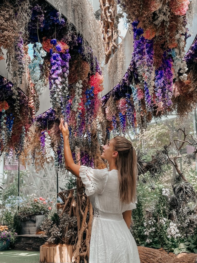 Beautiful Photo Spots in Singapore