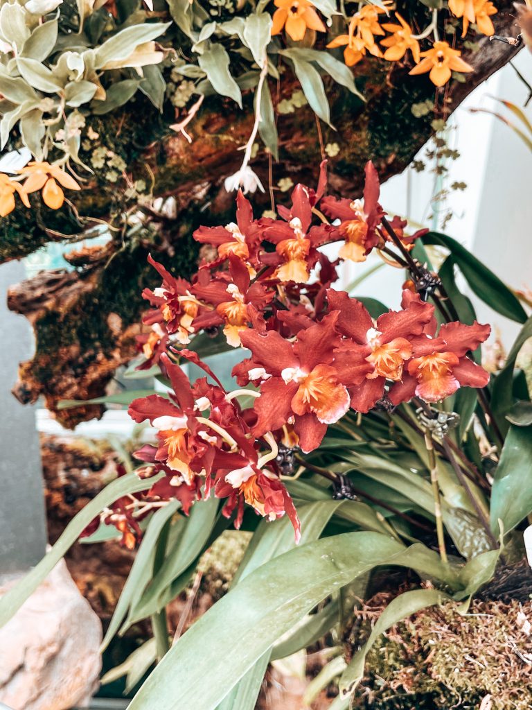 Beautiful Photo Spots in Singapore