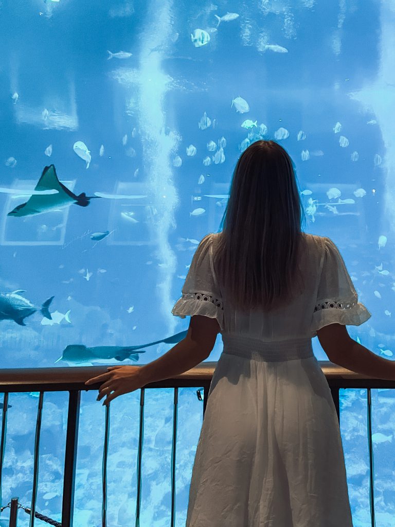 Beautiful Photo Spots in Singapore