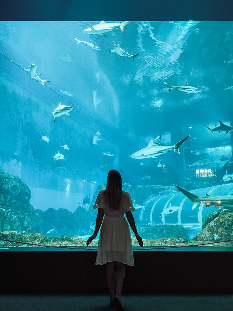 Beautiful Photo Spots in Singapore