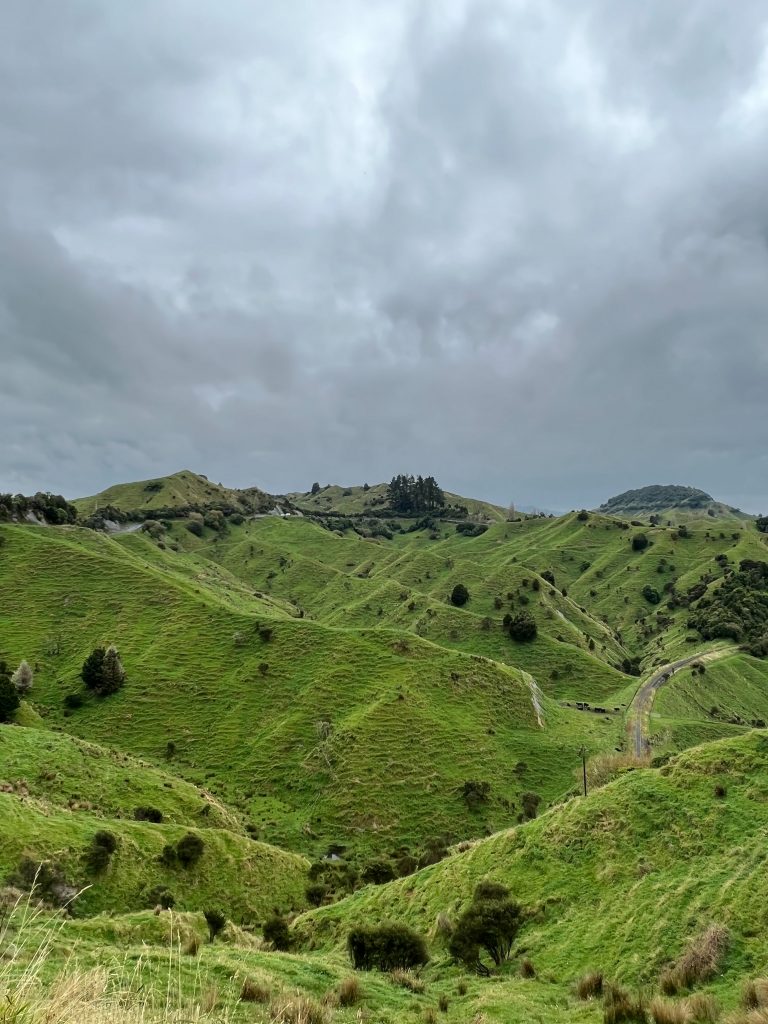 New Zealand Roadtrip
