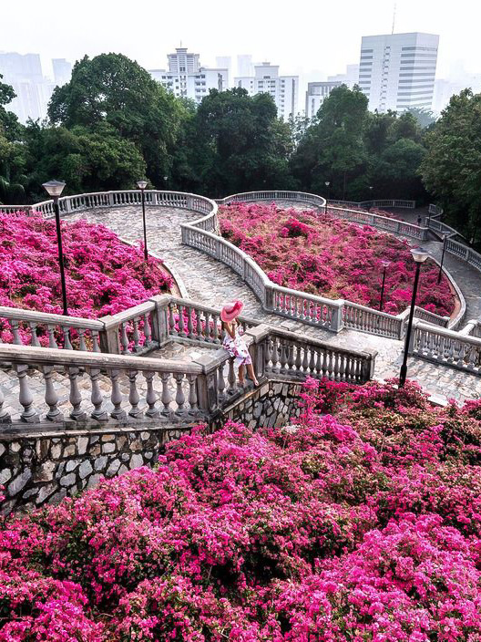 Beautiful Photo Spots in Singapore